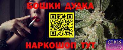 таблы Новодвинск