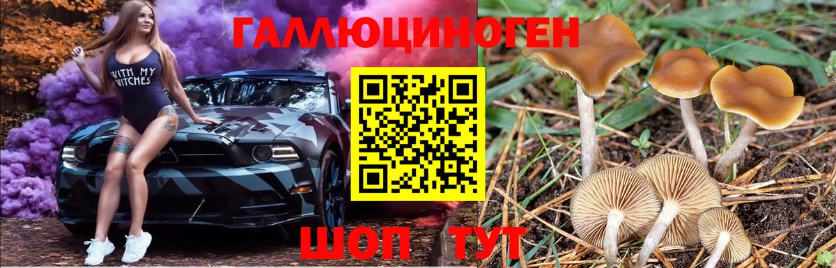 Псилоцибиновые грибы MAGIC MUSHROOMS  Вход с VPN  Серпухов  Галлюциногенные грибы Cubensis 